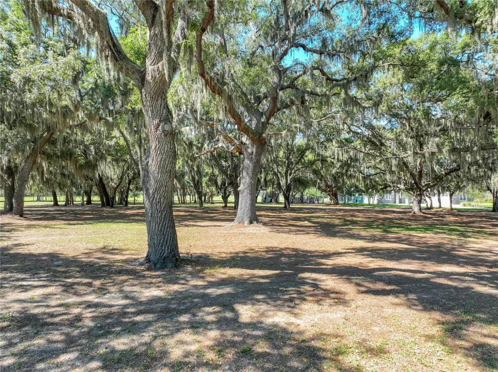 TROTTING HORSE LANE Tavares, FL 32778