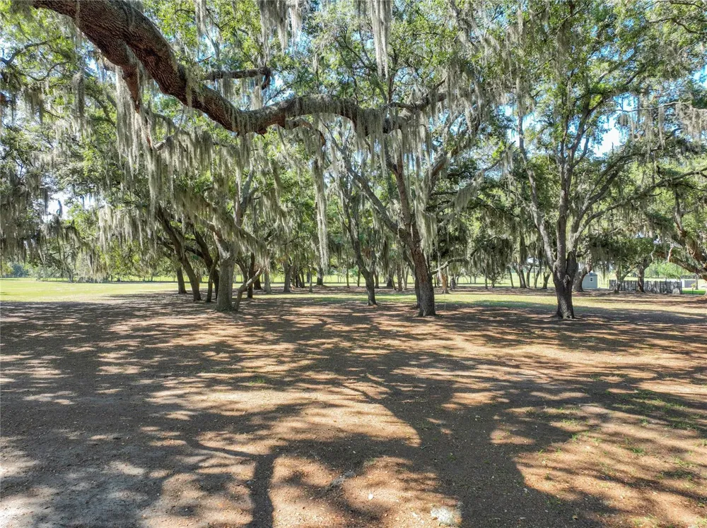 TROTTING HORSE LANE Tavares, FL 32778