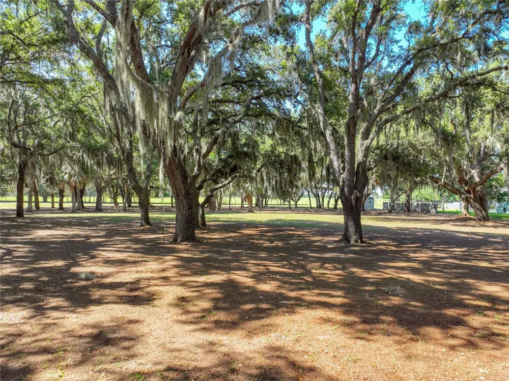 TROTTING HORSE LANE Tavares, FL 32778