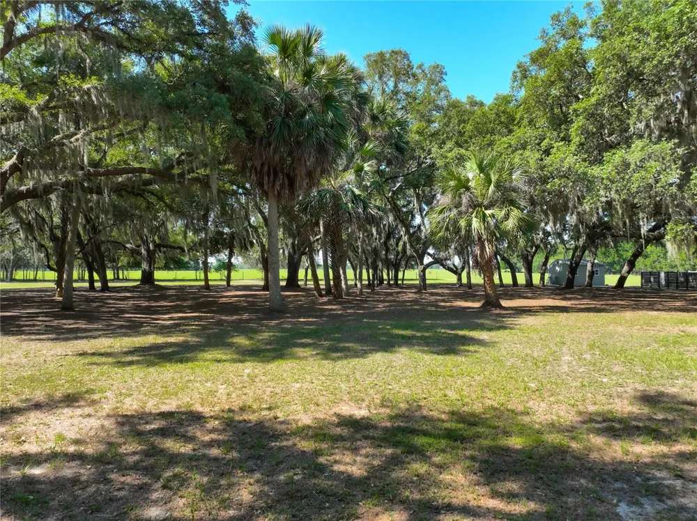 TROTTING HORSE LANE Tavares, FL 32778