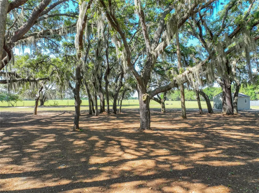 TROTTING HORSE LANE Tavares, FL 32778
