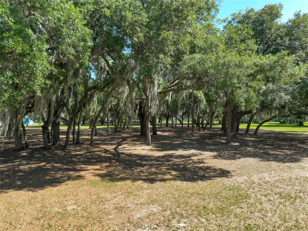 TROTTING HORSE LANE Tavares, FL 32778