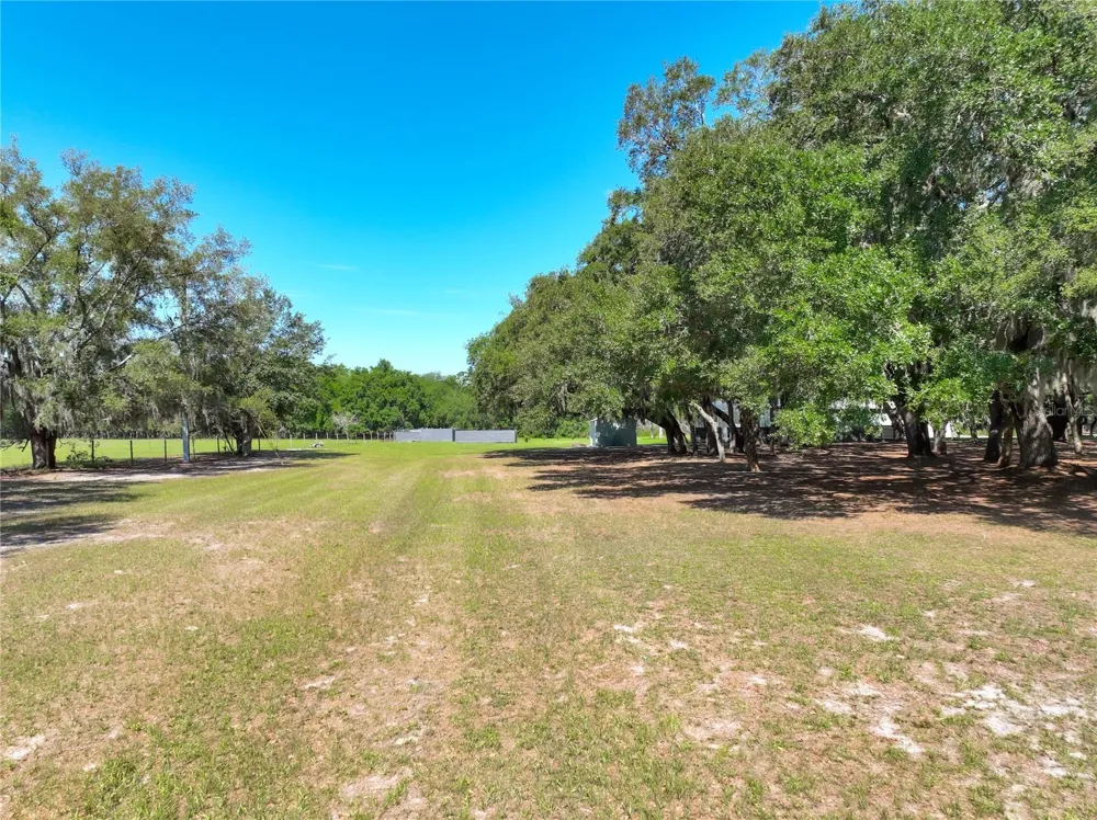 TROTTING HORSE LANE Tavares, FL 32778