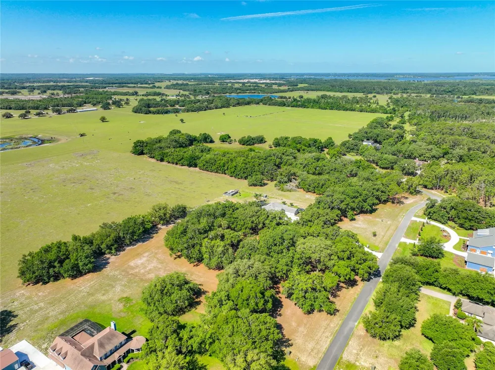 TROTTING HORSE LANE Tavares, FL 32778