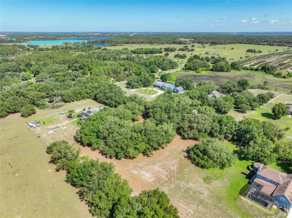 TROTTING HORSE LANE Tavares, FL 32778