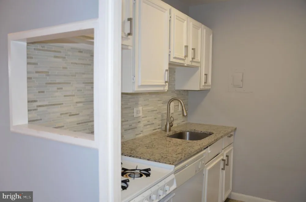 1900 LYTTONSVILLE ROAD #1103 Silver Spring, MD 20910