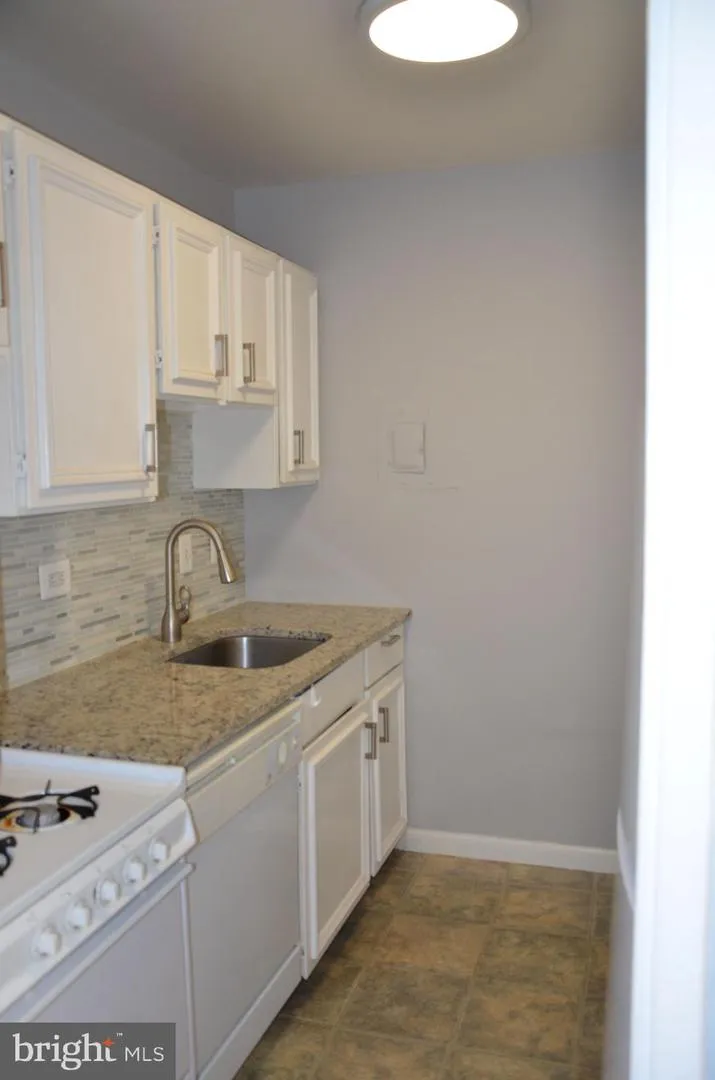 1900 LYTTONSVILLE ROAD #1103 Silver Spring, MD 20910