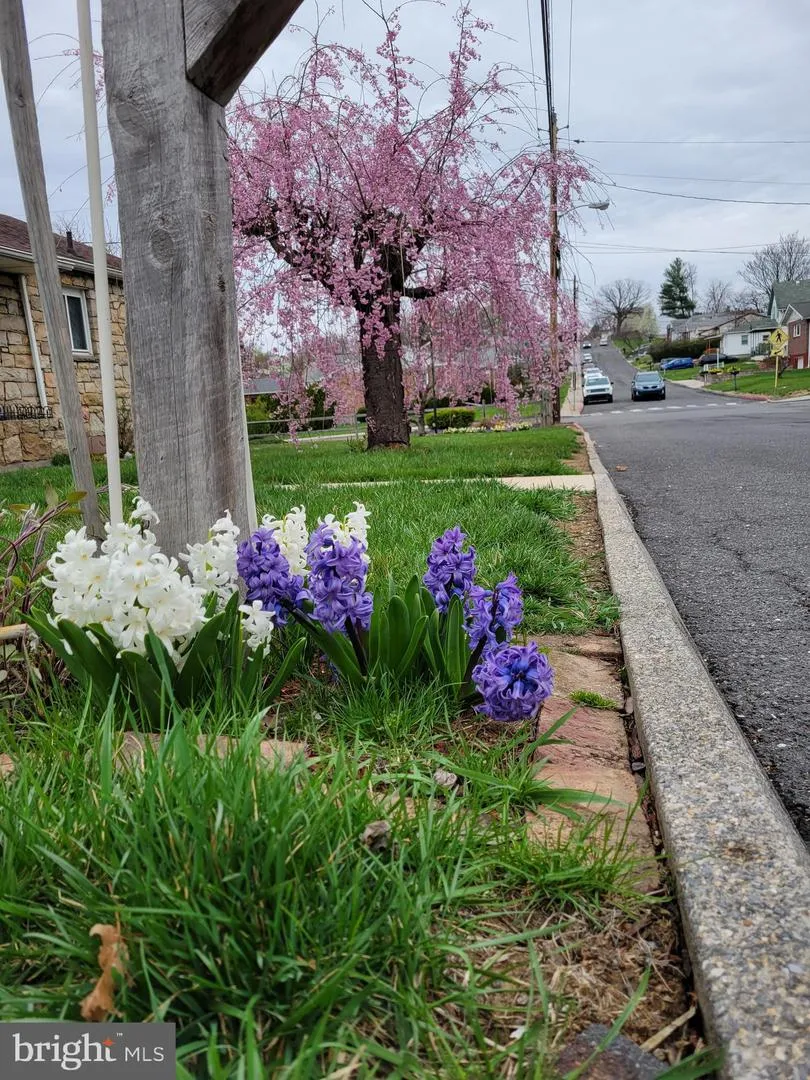 203 WEMPE DRIVE Cumberland, MD 21502