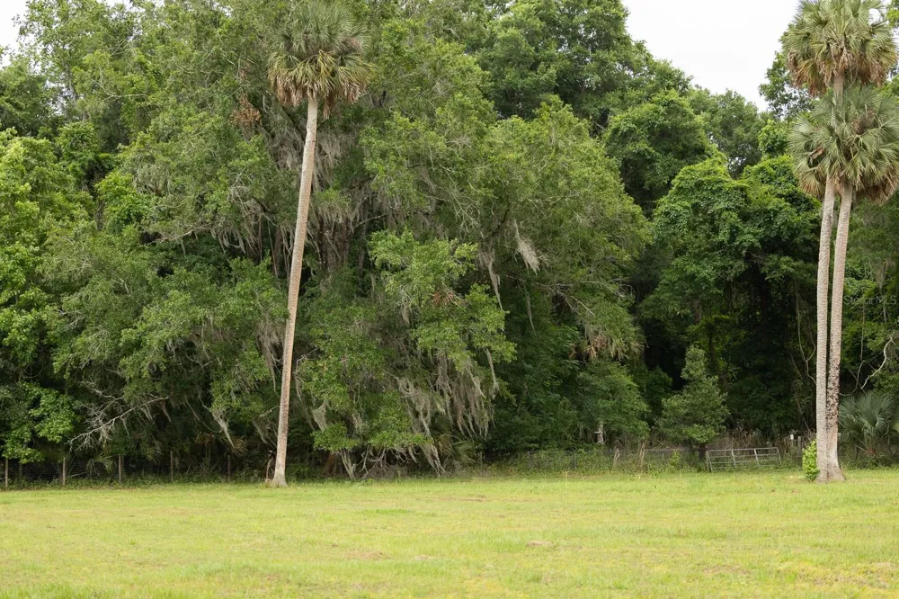 18833 NE 24TH AVENUE Citra, FL 32113
