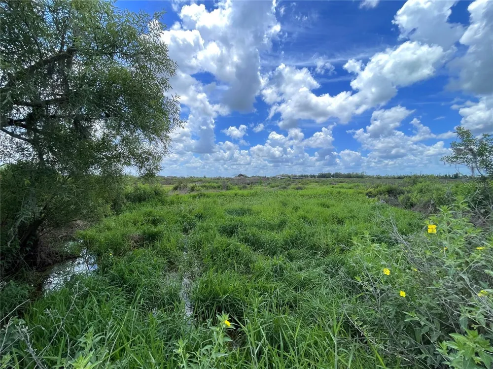 WAUCHULA ROAD Myakka City, FL 34251