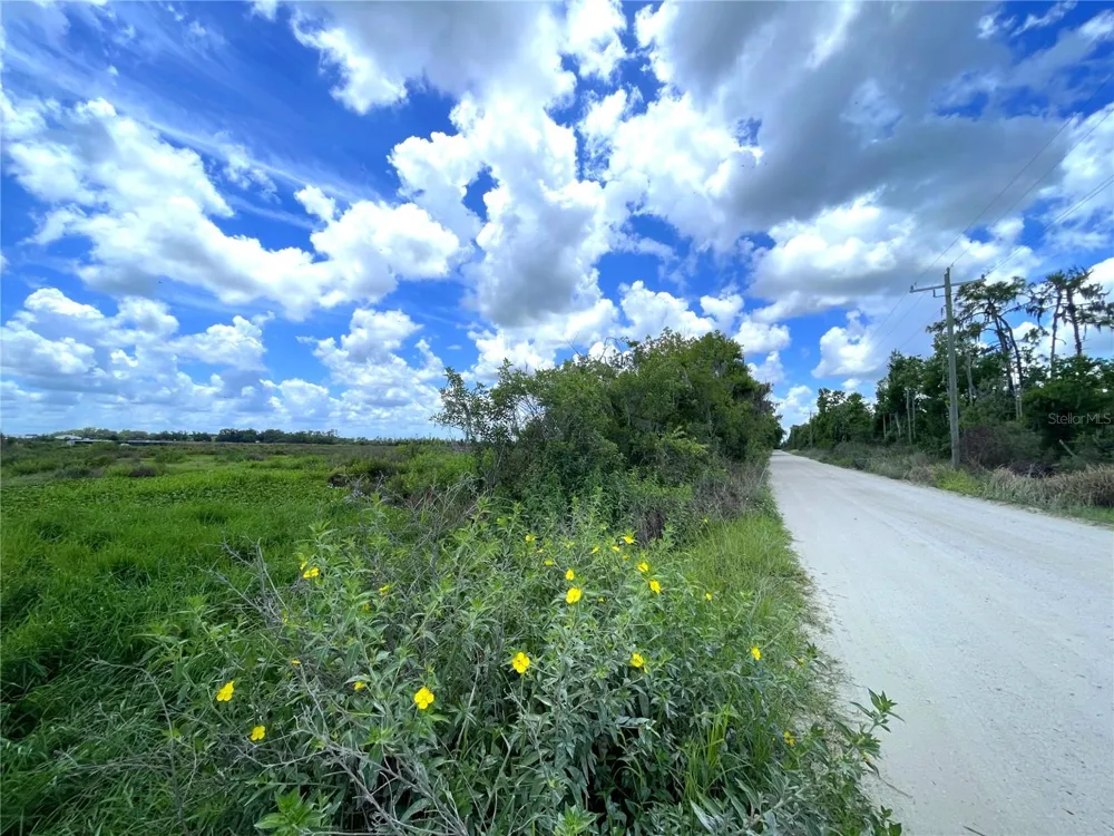 WAUCHULA ROAD Myakka City, FL 34251