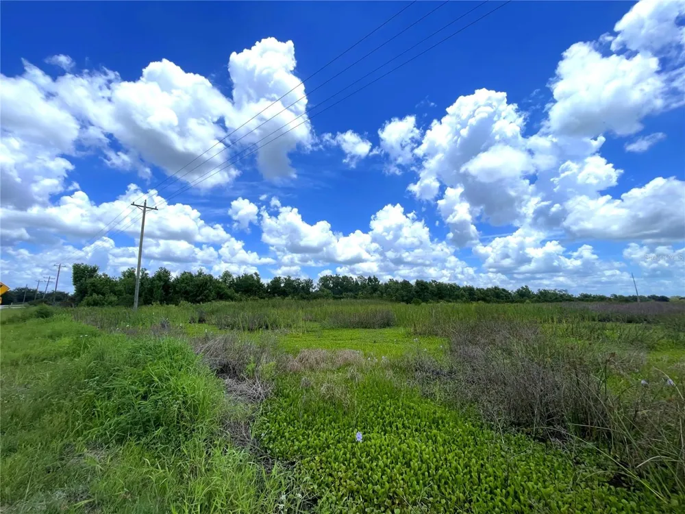 WAUCHULA ROAD Myakka City, FL 34251