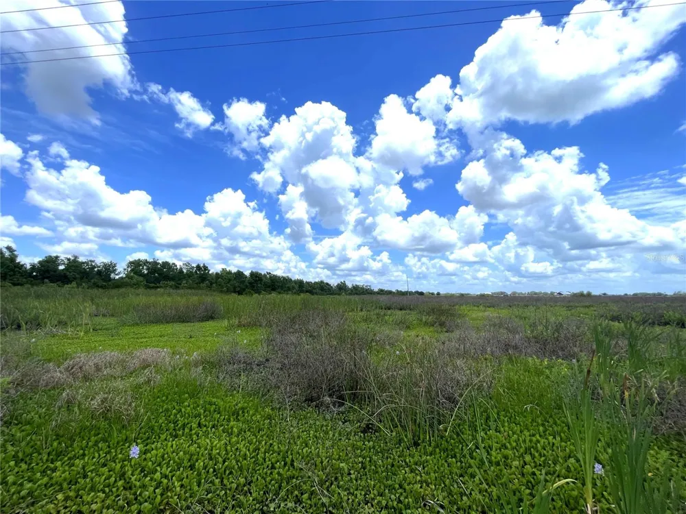 WAUCHULA ROAD Myakka City, FL 34251