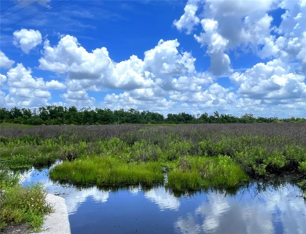WAUCHULA ROAD Myakka City, FL 34251