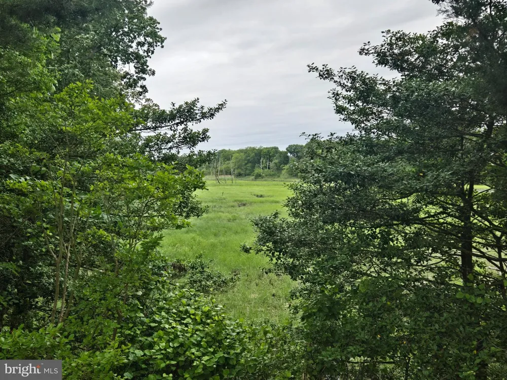 347 GOLF LINKS Magnolia, DE 19962