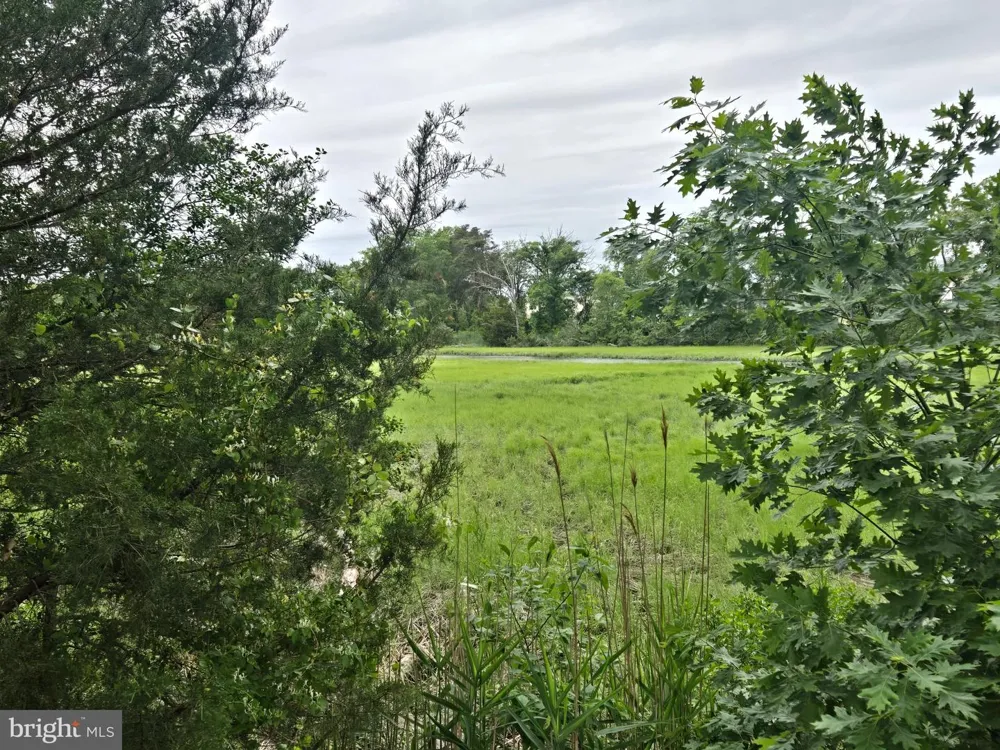 347 GOLF LINKS Magnolia, DE 19962