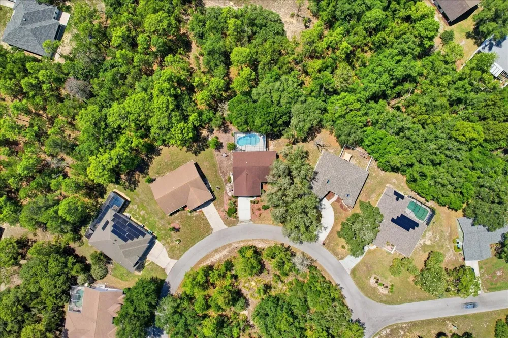 20 SALVIA COURT Homosassa, FL 34446