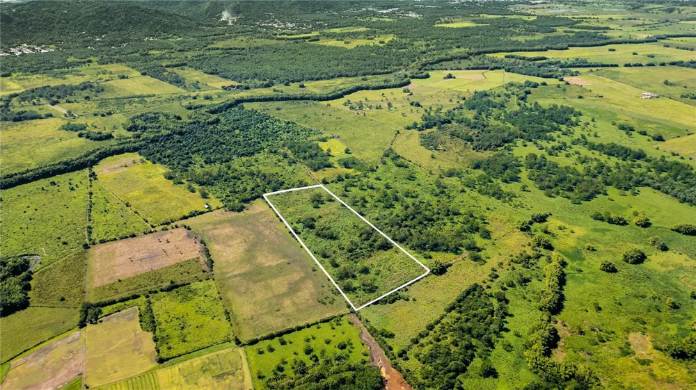2 KM 162 BENAVENTE ROAD #630 Hormigueros, PR 00660