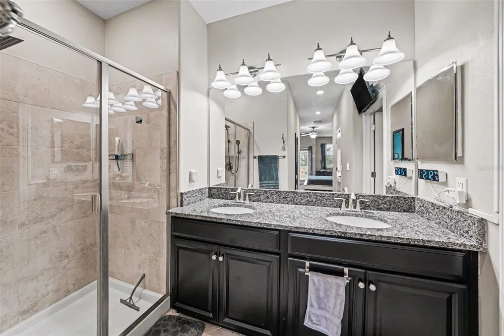 28504 TRANQUIL LAKE CIRCLE Wesley Chapel, FL 33543