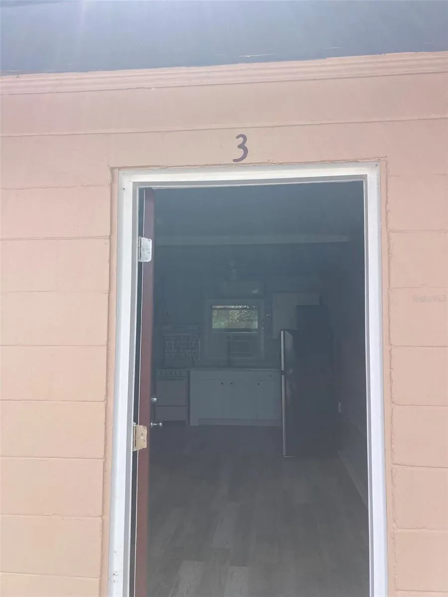 1401 E ALFRED STREET #3 Tavares, FL 32778