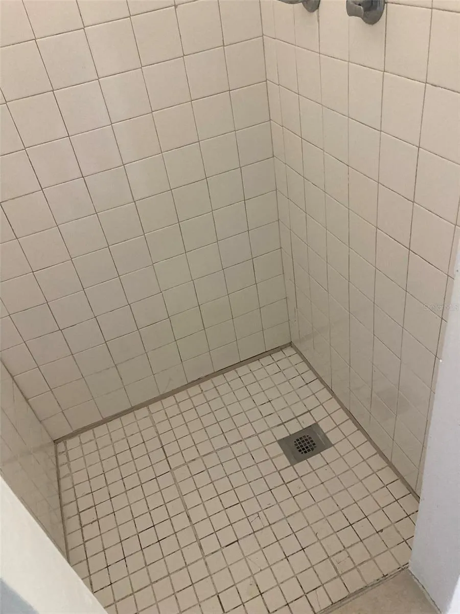 1401 E ALFRED STREET #3 Tavares, FL 32778