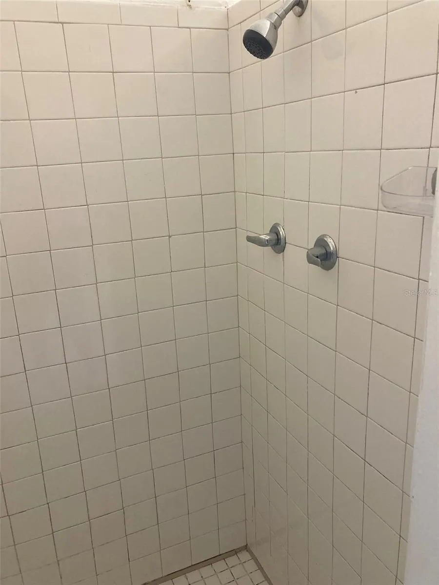 1401 E ALFRED STREET #3 Tavares, FL 32778