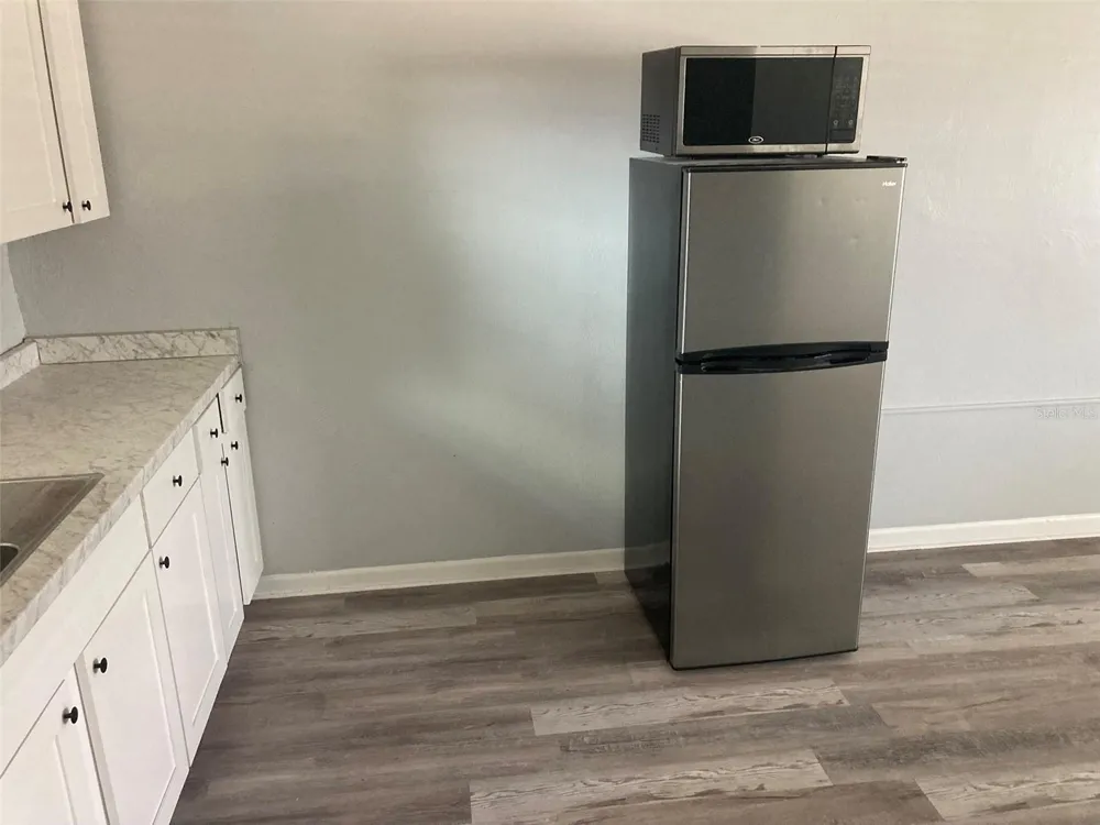 1401 E ALFRED STREET #3 Tavares, FL 32778