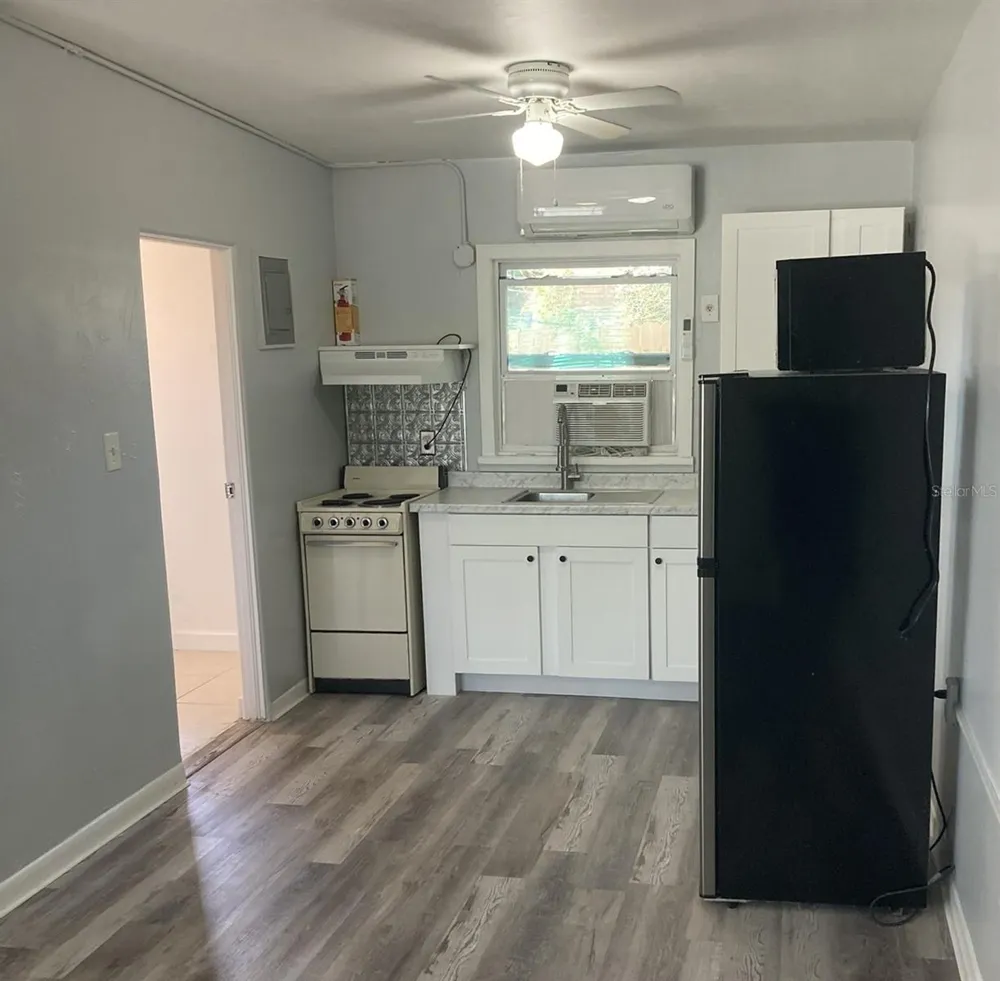 1401 E ALFRED STREET #3 Tavares, FL 32778