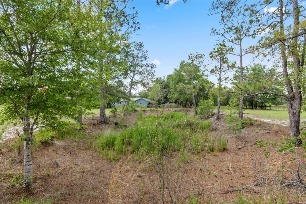 11115 SW 105TH STREET Brooker, FL 32622