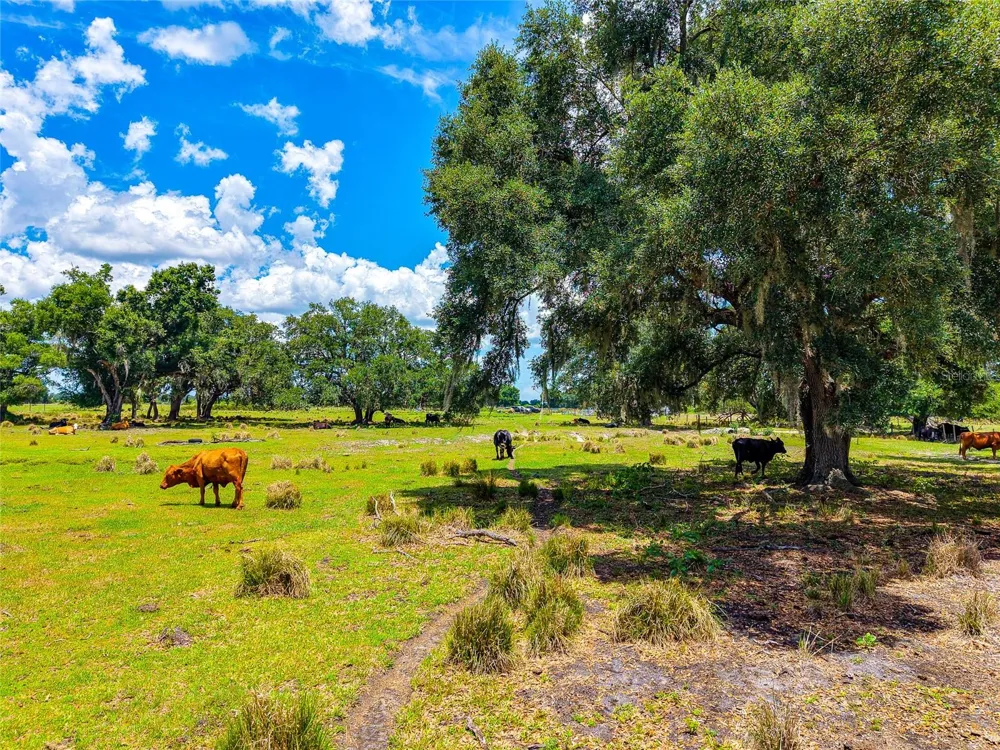 3030 NURSERY ROAD Zolfo Springs, FL 33890