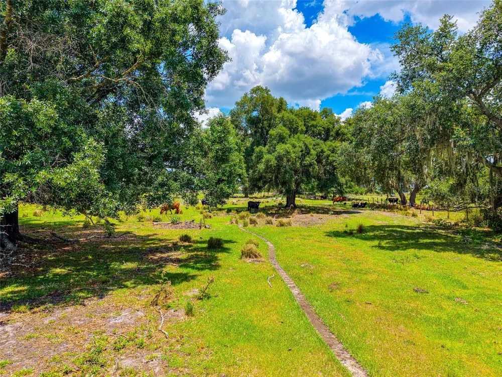3030 NURSERY ROAD Zolfo Springs, FL 33890