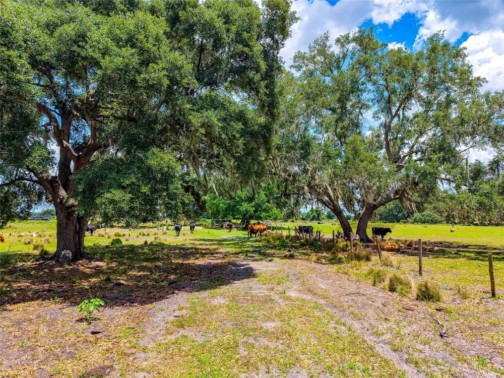 3030 NURSERY ROAD Zolfo Springs, FL 33890