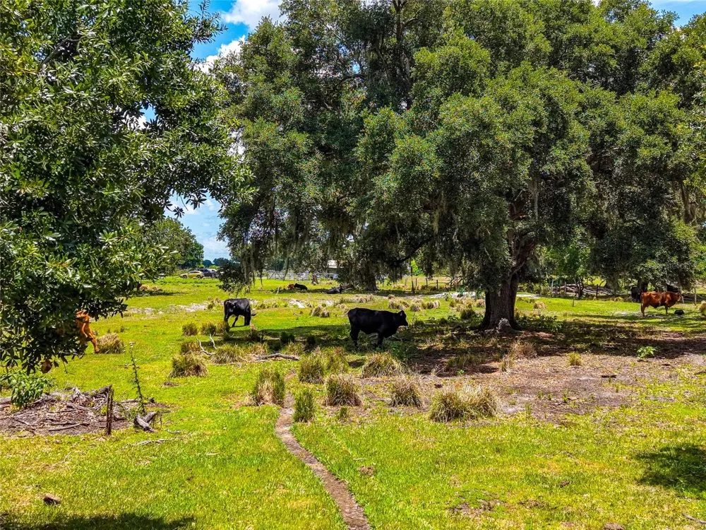3030 NURSERY ROAD Zolfo Springs, FL 33890