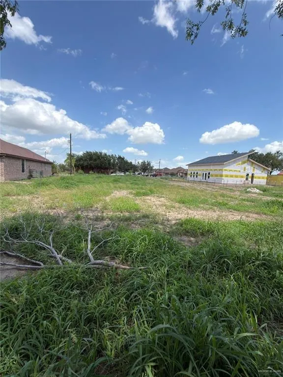 706 Lyons Street Progreso, TX 78579
