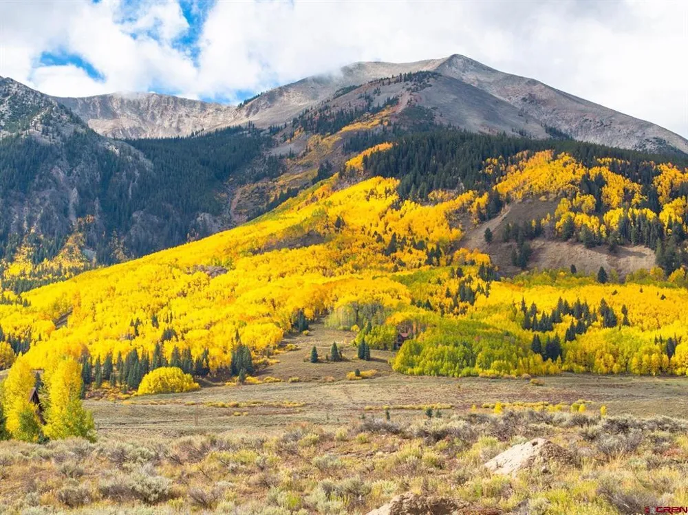 88 Vista Court Crested Butte, CO 81224