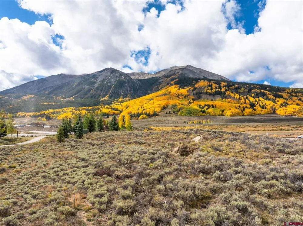 88 Vista Court Crested Butte, CO 81224