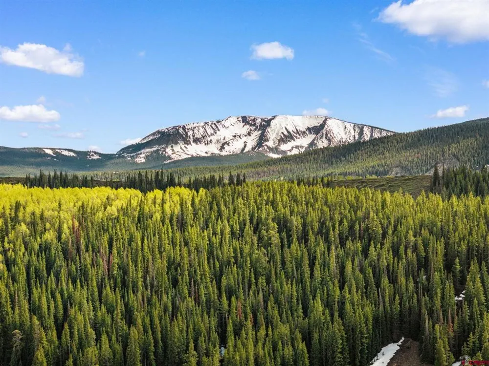 286 Meadow Drive Crested Butte, CO 81224