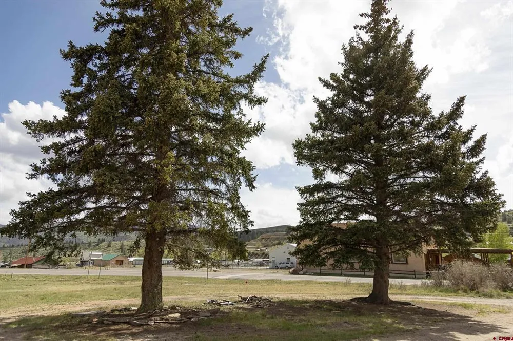 1010 La Garita Street Creede, CO 81130