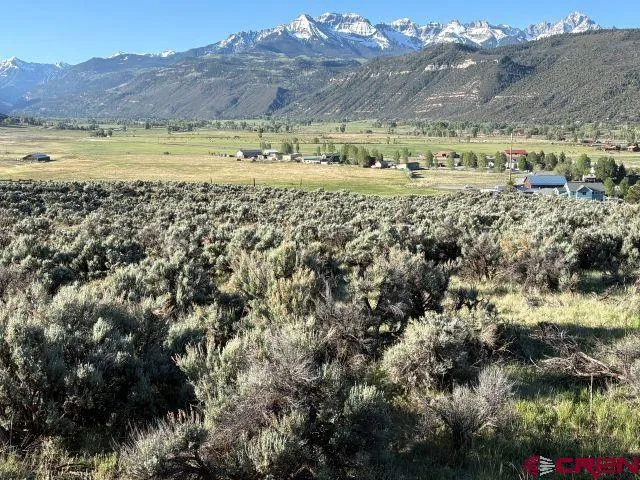 Vista Drive Ridgway, CO 81432