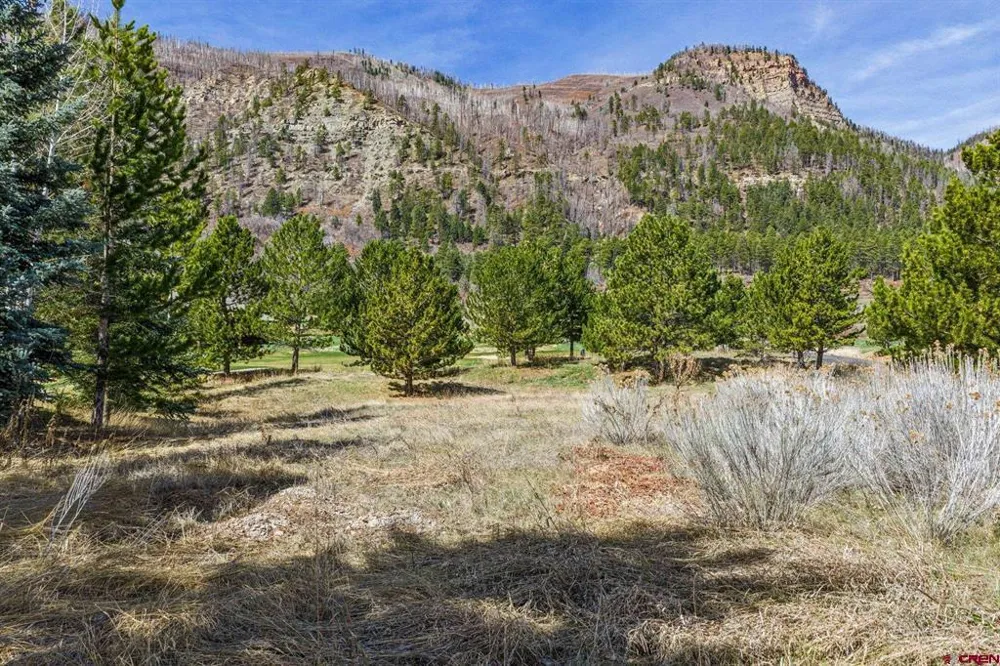 24 Cliffs Edge Drive Durango, CO 81301