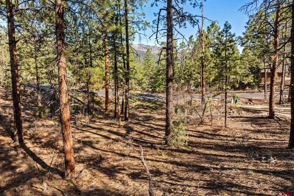 47 Ambush Canyon Durango, CO 81301
