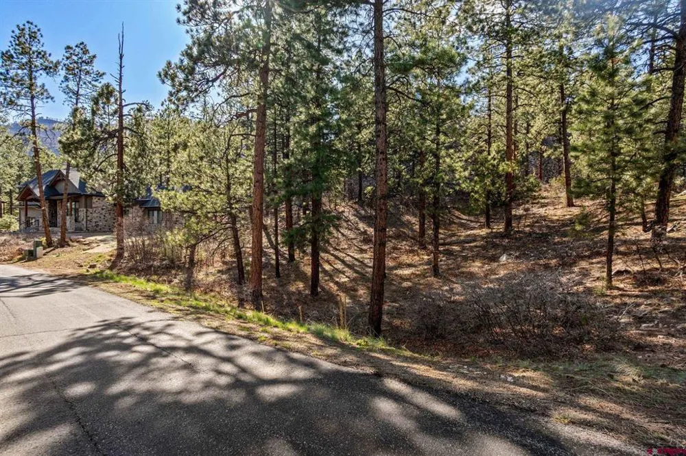 47 Ambush Canyon Durango, CO 81301