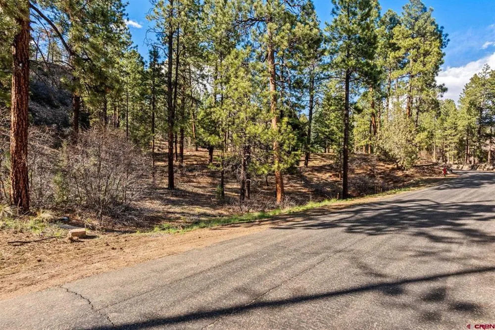 47 Ambush Canyon Durango, CO 81301