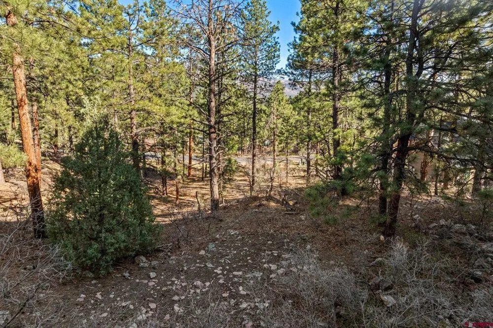 47 Ambush Canyon Durango, CO 81301