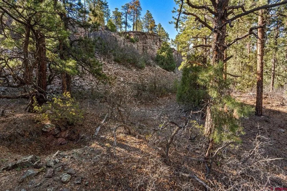 47 Ambush Canyon Durango, CO 81301
