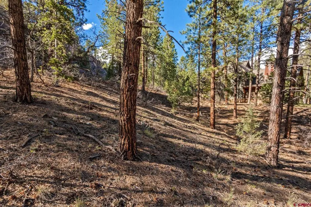 47 Ambush Canyon Durango, CO 81301