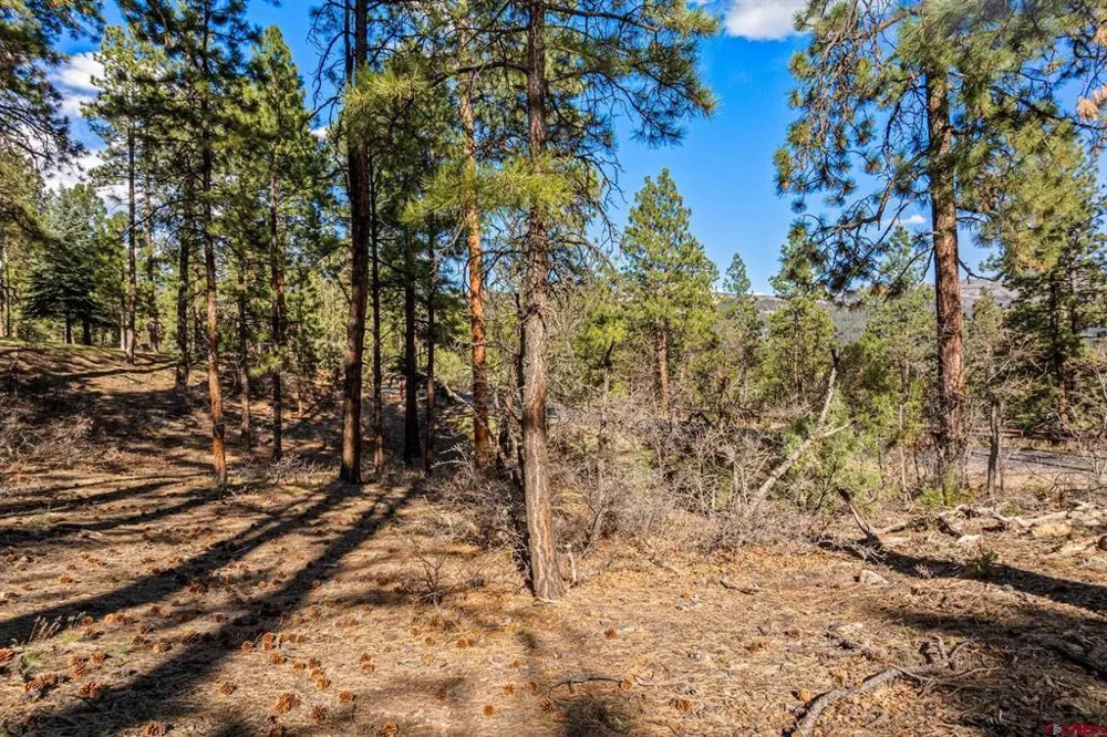 47 Ambush Canyon Durango, CO 81301
