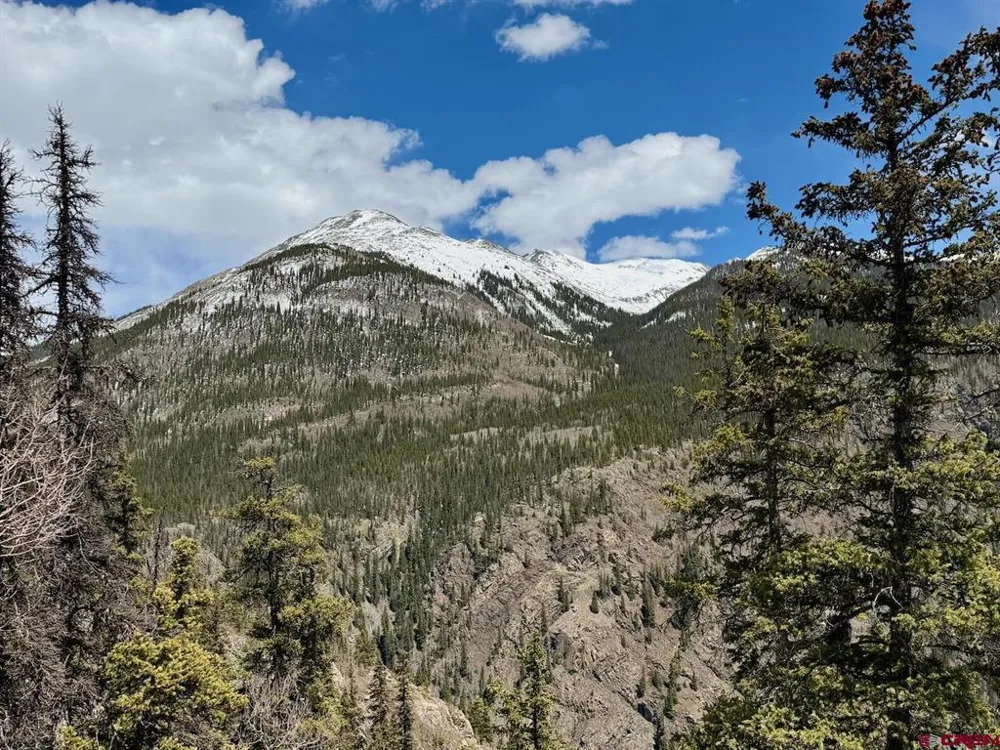 550 Highway Silverton, CO 81433