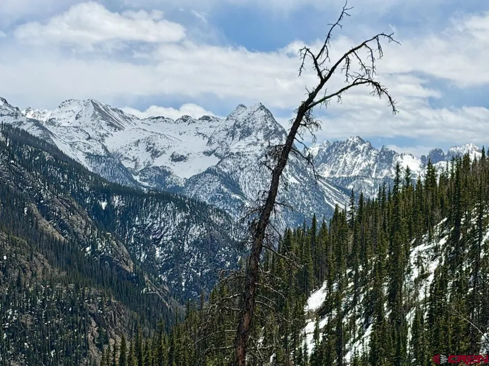 550 Highway Silverton, CO 81433