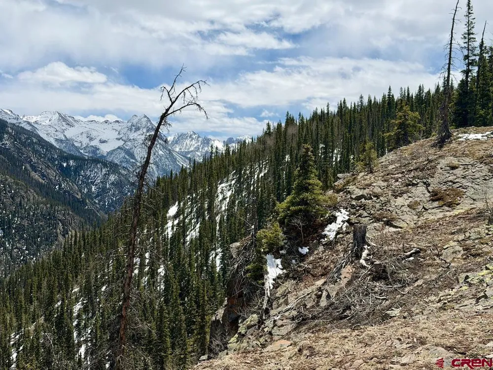 550 Highway Silverton, CO 81433